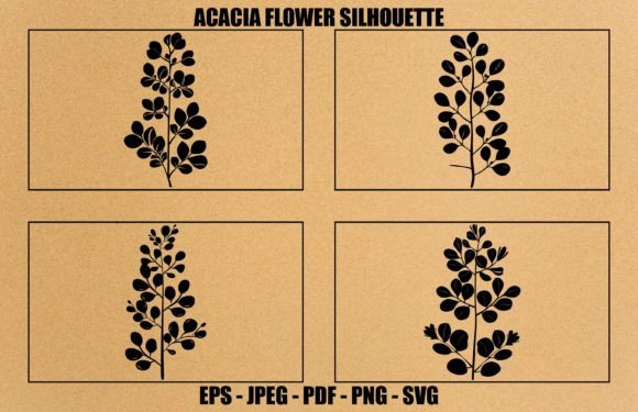 Acacia Silhouette Graphics for Illustrations