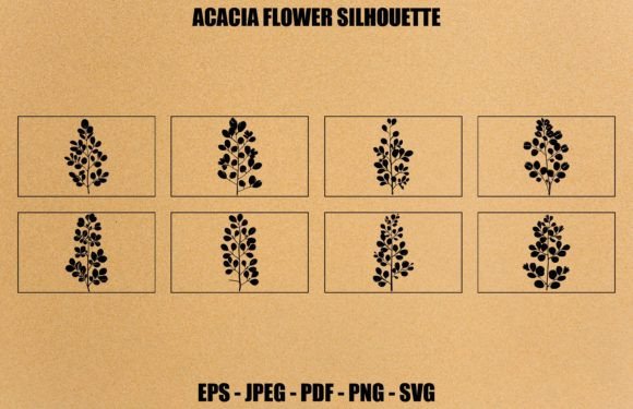 Acacia Silhouette Graphics for Modern Illustrations