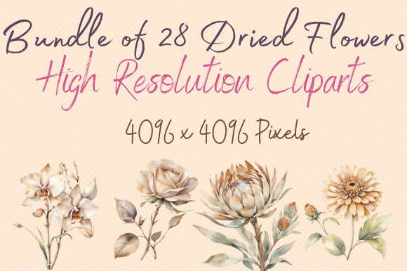 Ethereal Blooms 28 Dried Flowers SVGs: Graphics & Illustrations