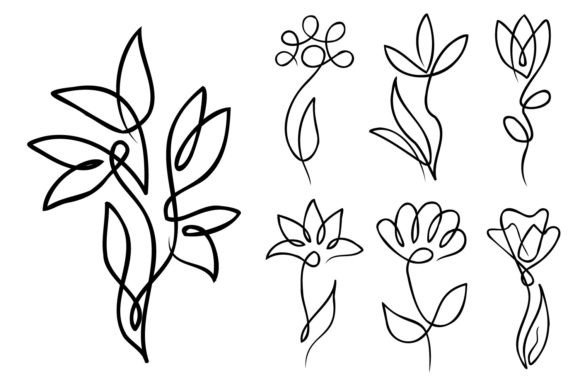 Flowers with Single Continuous Line: Graphics & Illustrations