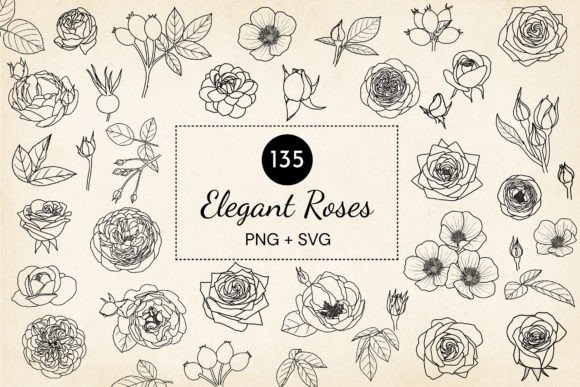 Hand-drawn Roses SVG Bundle: Premium Graphics & Illustrations