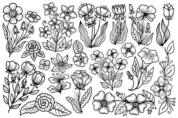 Hand Drawn Vector Flowers: Graphics & Illustrations