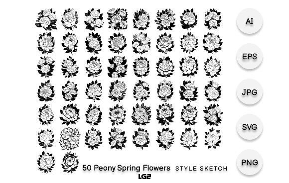 Peony Spring Flowers: Black Graphics & Illustrations