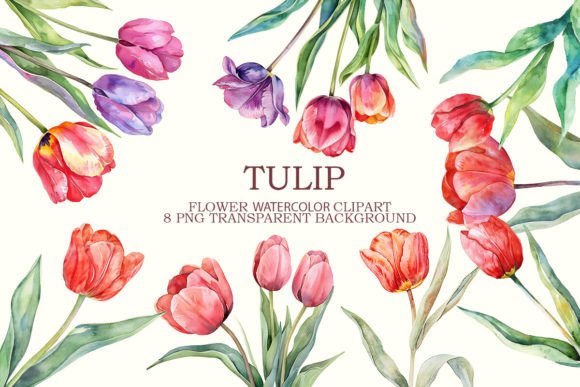Tulip Flowers Clipart Bundle 8 PNG: Graphics & Illustrations