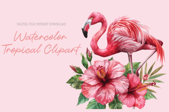 Watercolor Tropical Flowers Clipart: Graphics & Illustrations