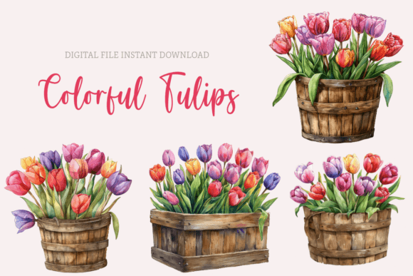 Watercolor Tulips Clipart: Spring Graphics & Illustrations